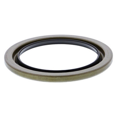 Internal Grease Seal, 2.75