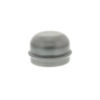 909911 - Dust Cap