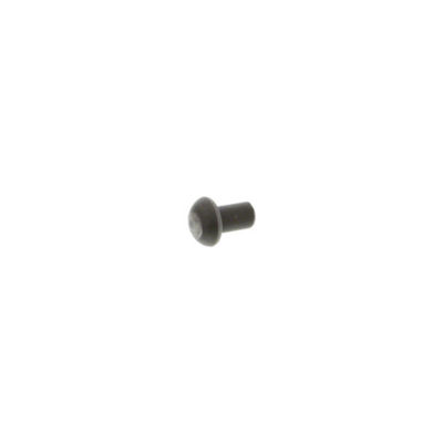 Oval Head Rivet