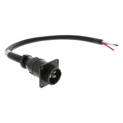 12 volt 3 pin plug