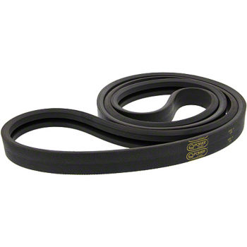 B00574 - Belt