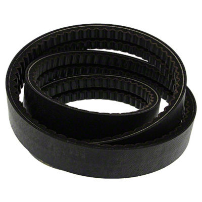 Lower Drive Belt