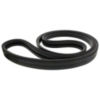 B00953 - Elevator Jackshaft Drive Belt