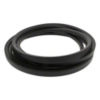 B00961 - Elevator Drive/Cleaning System Belt