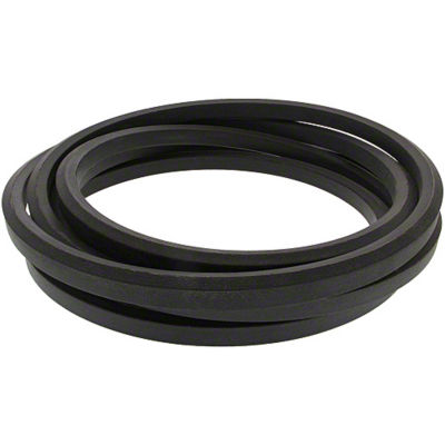 Tailings Drive Belt