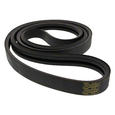 Shaker Shoe Drive Belt