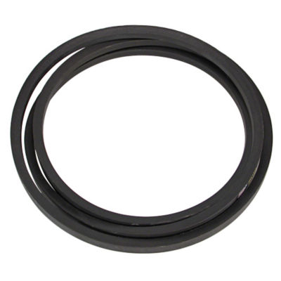 Shaker Shoe Drive Belt