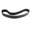 B6280 - Header Drive/Impeller Conditioner Drive Belt