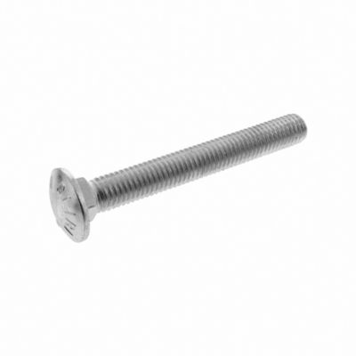 Carriage Bolt