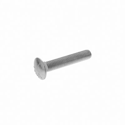 Carriage Bolt