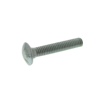 Carriage Bolt
