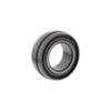 DS210-TTR2 - Relube Disc Bearing