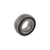 DS210-TTR5R - Relube Disc Bearing