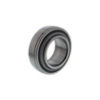 DS211-TTR9 - Relube Disc Bearing