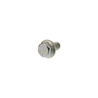 Flange Bolt