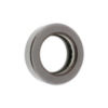 FE00893 - Pivot Thrust Bearing