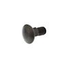 FK18131 - Special Carriage Bolt