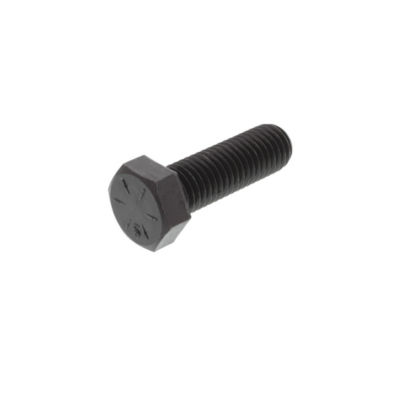 Mounting Bolt