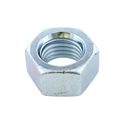 Hex Nut