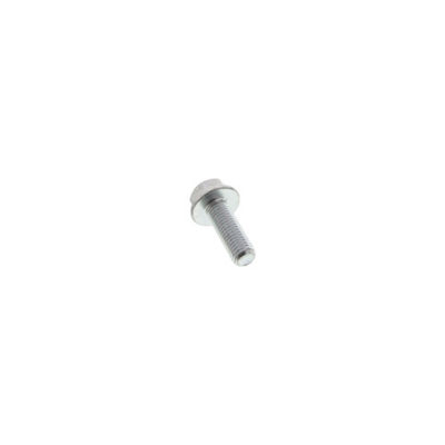 Flange Bolt