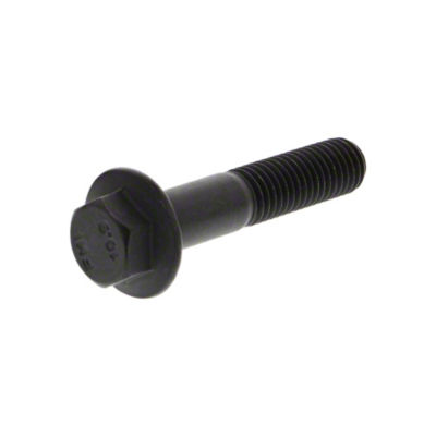 Flange Bolt