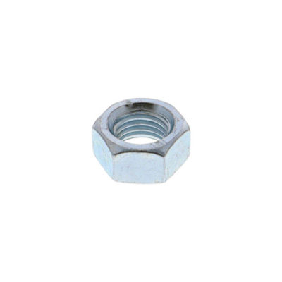 Hex Nut