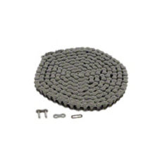 SH421307 - SH421307 - Clean Grain Elevator Drive Chain