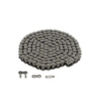 SH427724 - Tailings Elevator Drive Chain