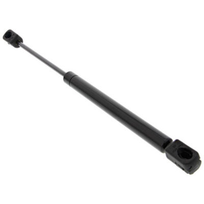 Rear Window Cylinder/Strut