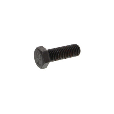 Hex Bolt