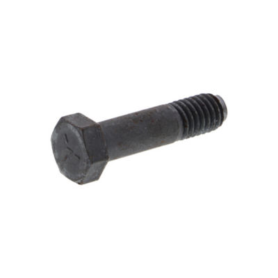 Hex Bolt