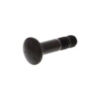 SH745283 - Carriage Bolt