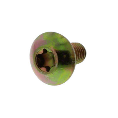 Button Head Torx Bolt